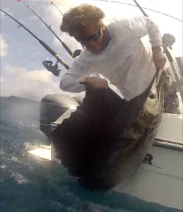 catching sailfish with no gp