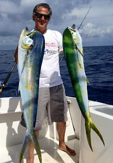 great dolphin fishing off miami