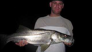 key biscayne snook fishing