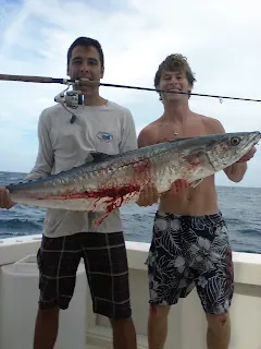light tackle kingfish in miami