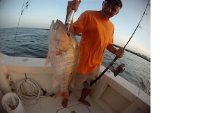 miami beach fishing charters