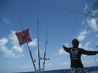 miami sailfishing charter