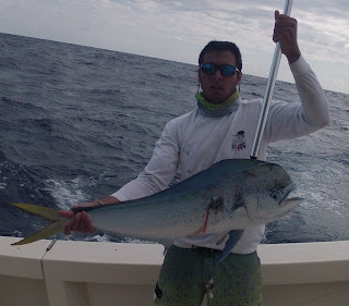 releasing sailfish in miami