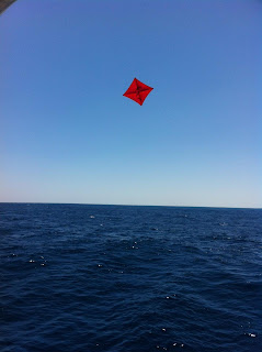 sailfishing in miami