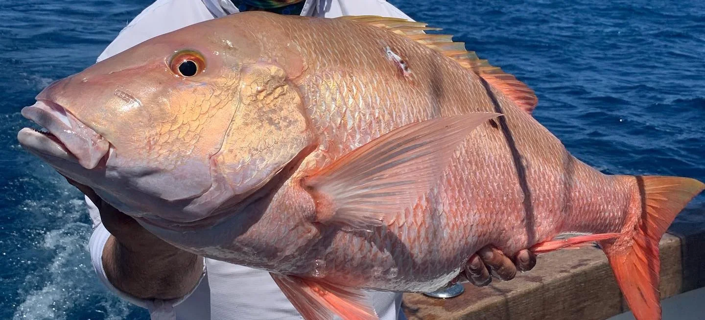 A mutton snapper caught aboard the Double Threat off Miami