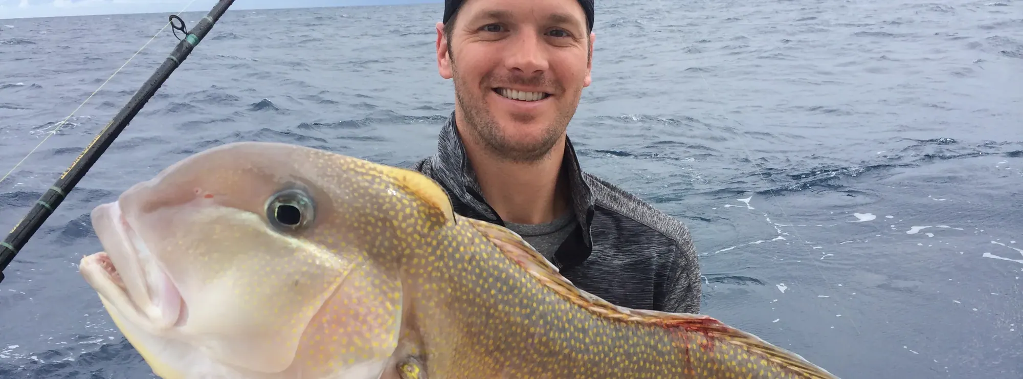 A golden tilefish from the deep drop