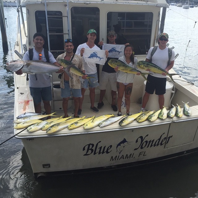 A typical day during spring with a nice mixed bag of sailfish, dolphin, and amberjack