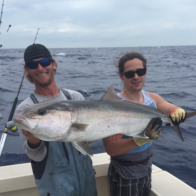 Nice Amberjack pulled off the wreck in 230 feet. 