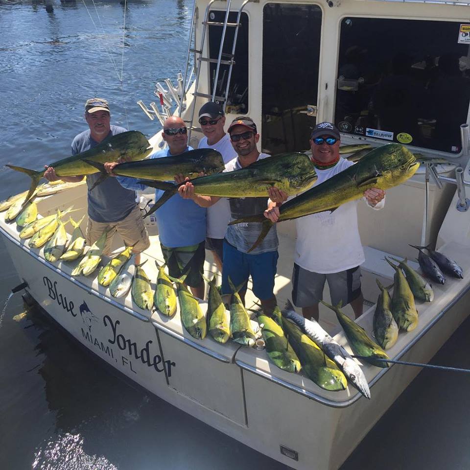 This haul of mahi was good enough for 1st place in the SFVMA Fishing Tournament on July 12th