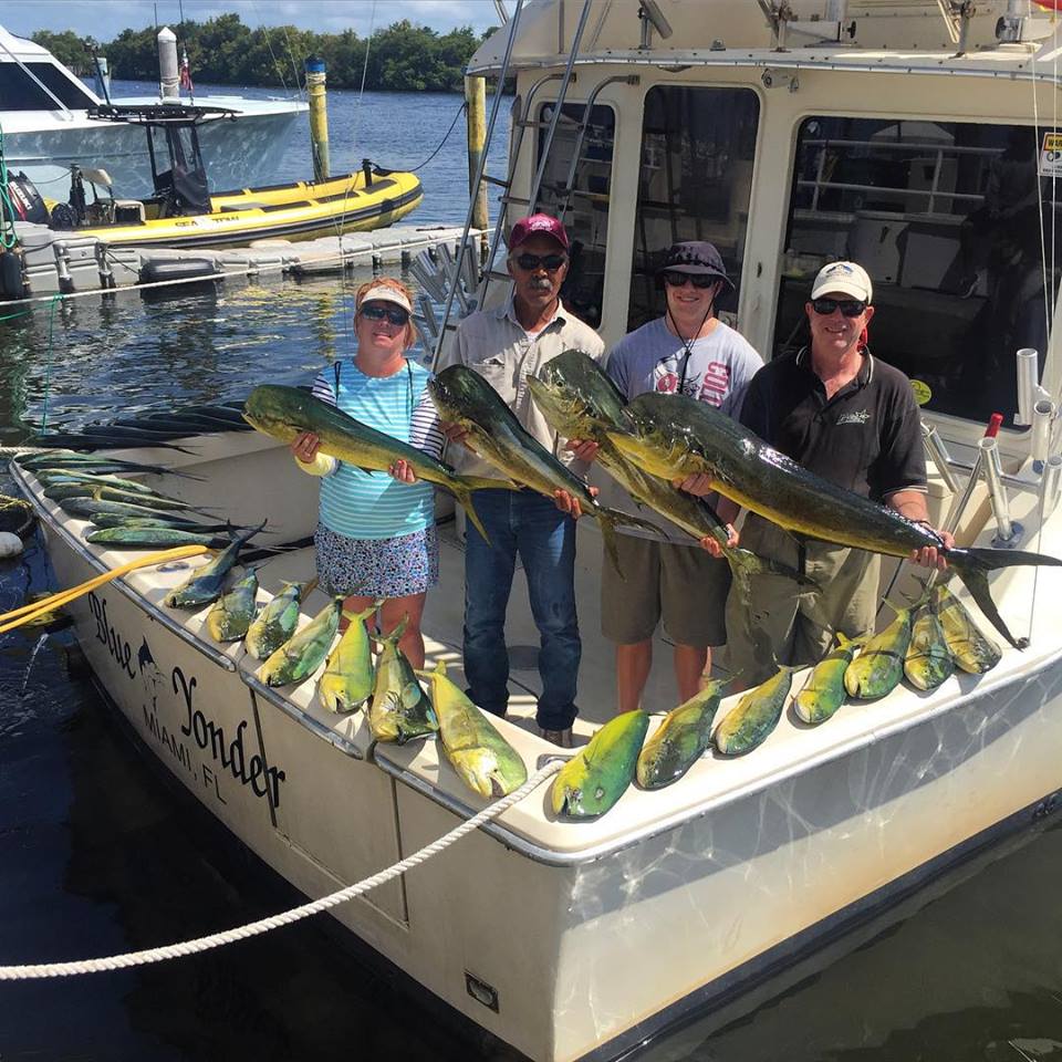 miami fishing trips