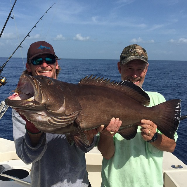 This big black grouper hit the deck on June 29th. It was nice to put a few in the box after releasing so many  while the season was closed.