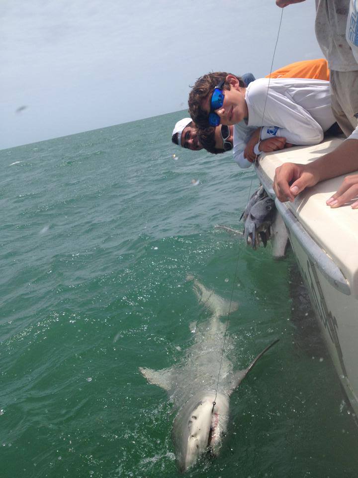 Miami Shark Fishing - Double Threat Charters