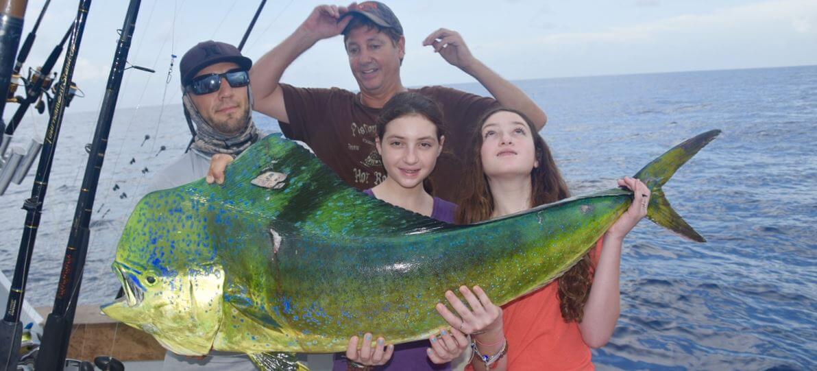 Bull Dolphin Caught Kite Fishing