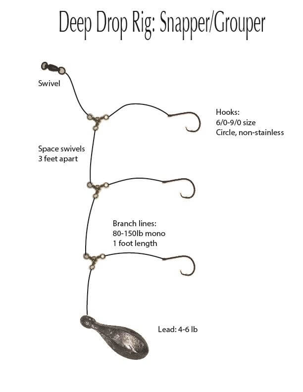 Snapper Rig How To Tie Your Fishing Rigs Snell Hooks Step By Step 