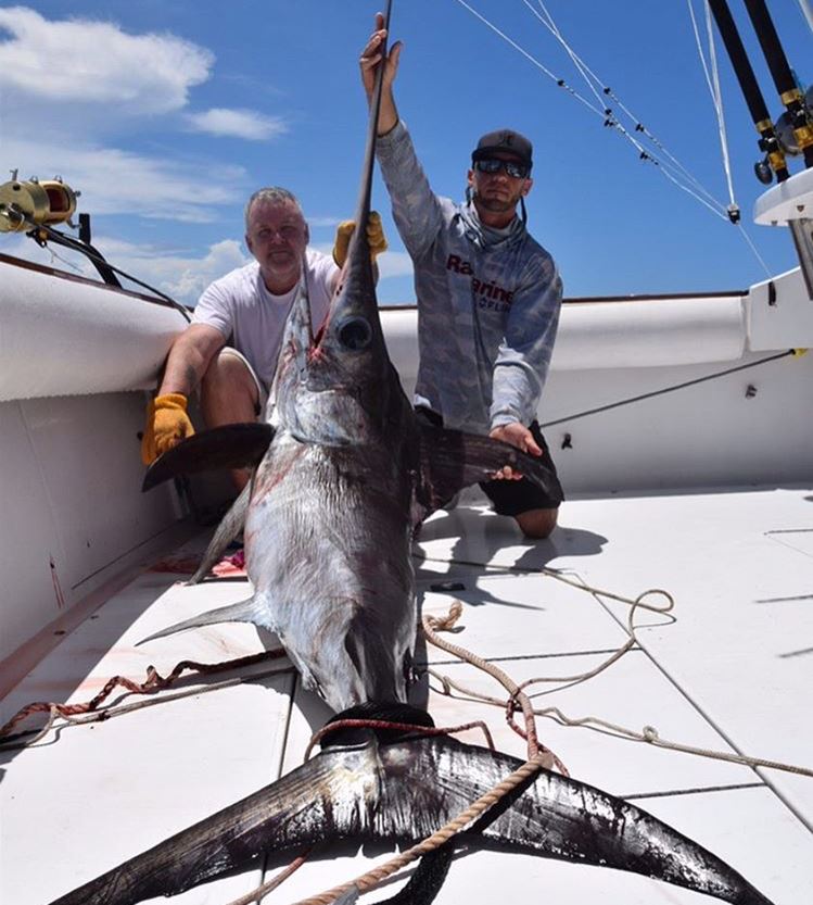 broadbill swordfish daytime miami