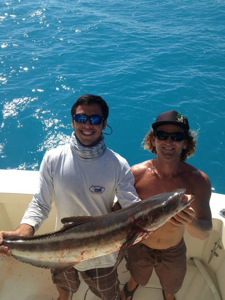 Cobia Fishing Miami