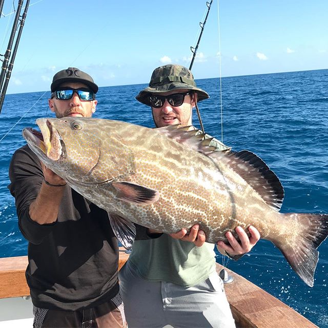 springtime black grouper