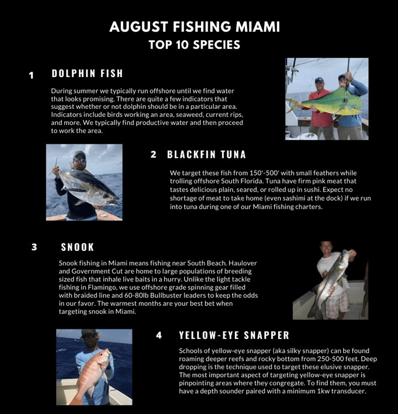 August Fishing Calendar Miami