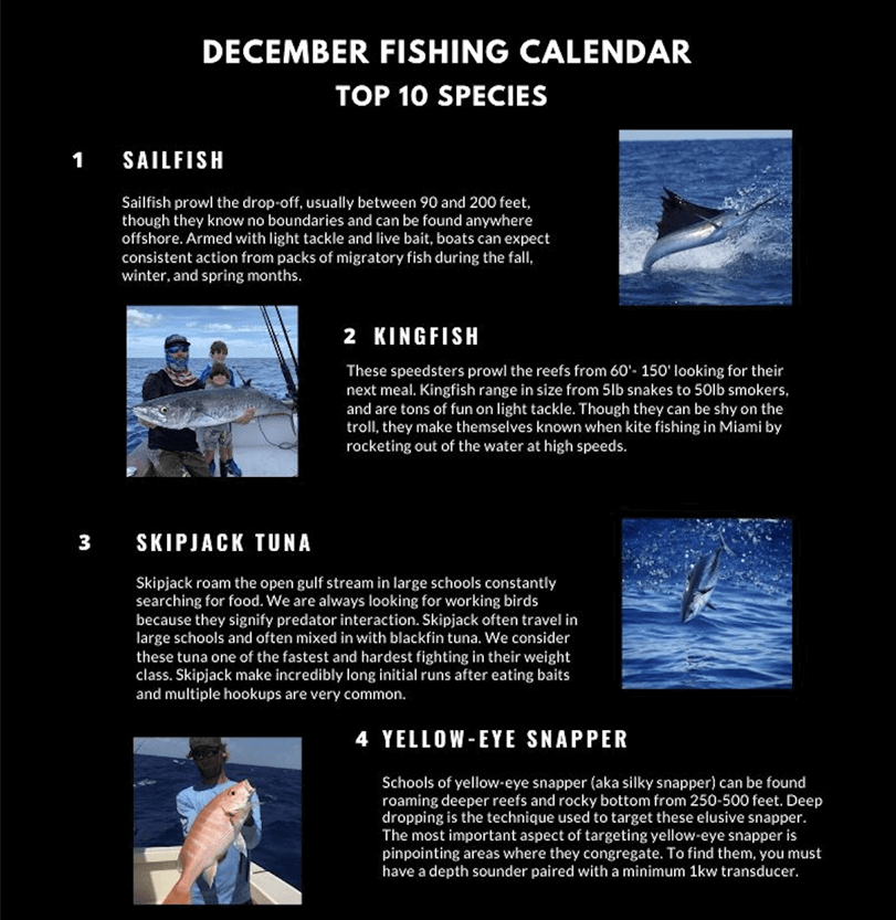 December Fishing Calendar Miami