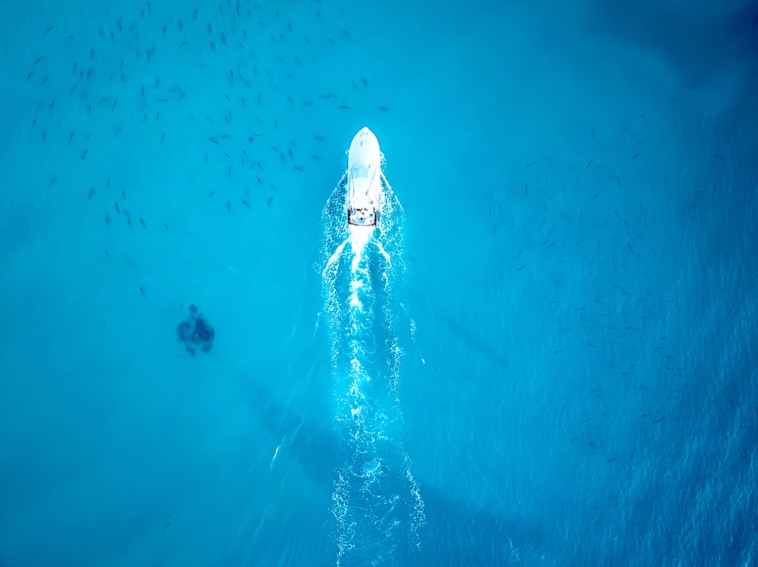 double threat drone photo tarpon