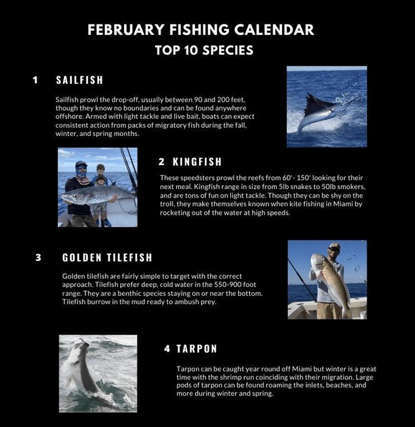 February Fishing Calendar Miami