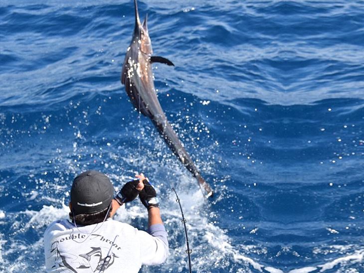 shark fishing flats miami charters