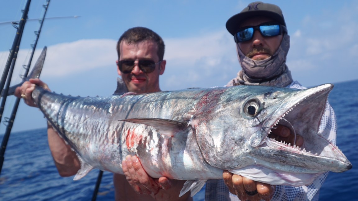 Planer Fishing for Kingfish - Double Threat Charters