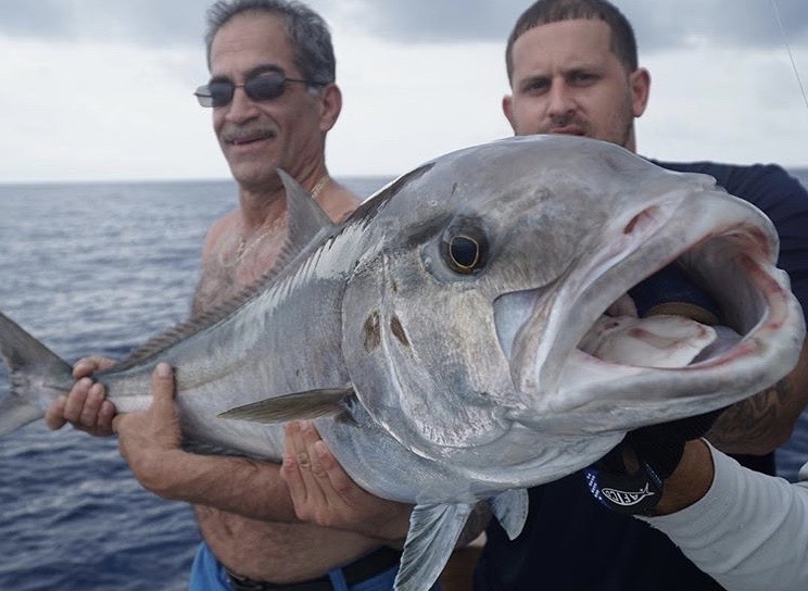 amberjack wreck fishing