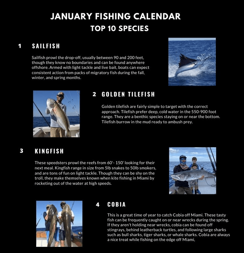 January Fishing Calendar Miami