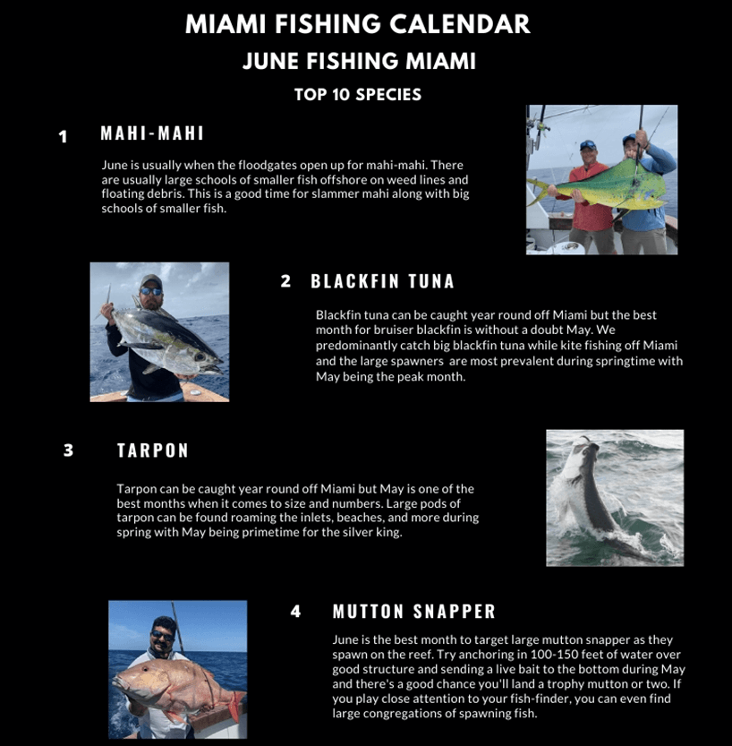 Miami Fishing Calendar by Month Double Threat Charters