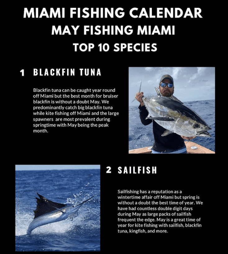 Miami Fishing Calendar by Month Double Threat Charters