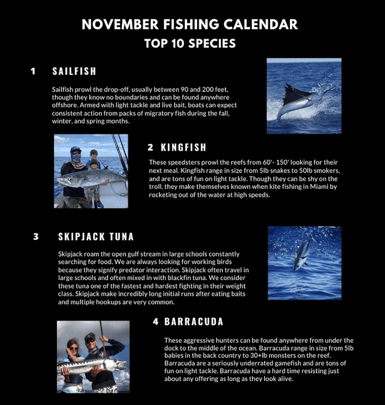 November/December Fishing Forecast