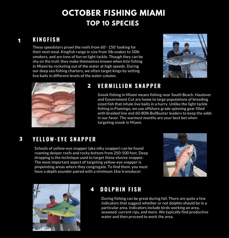 October Fishing Miami Calendar