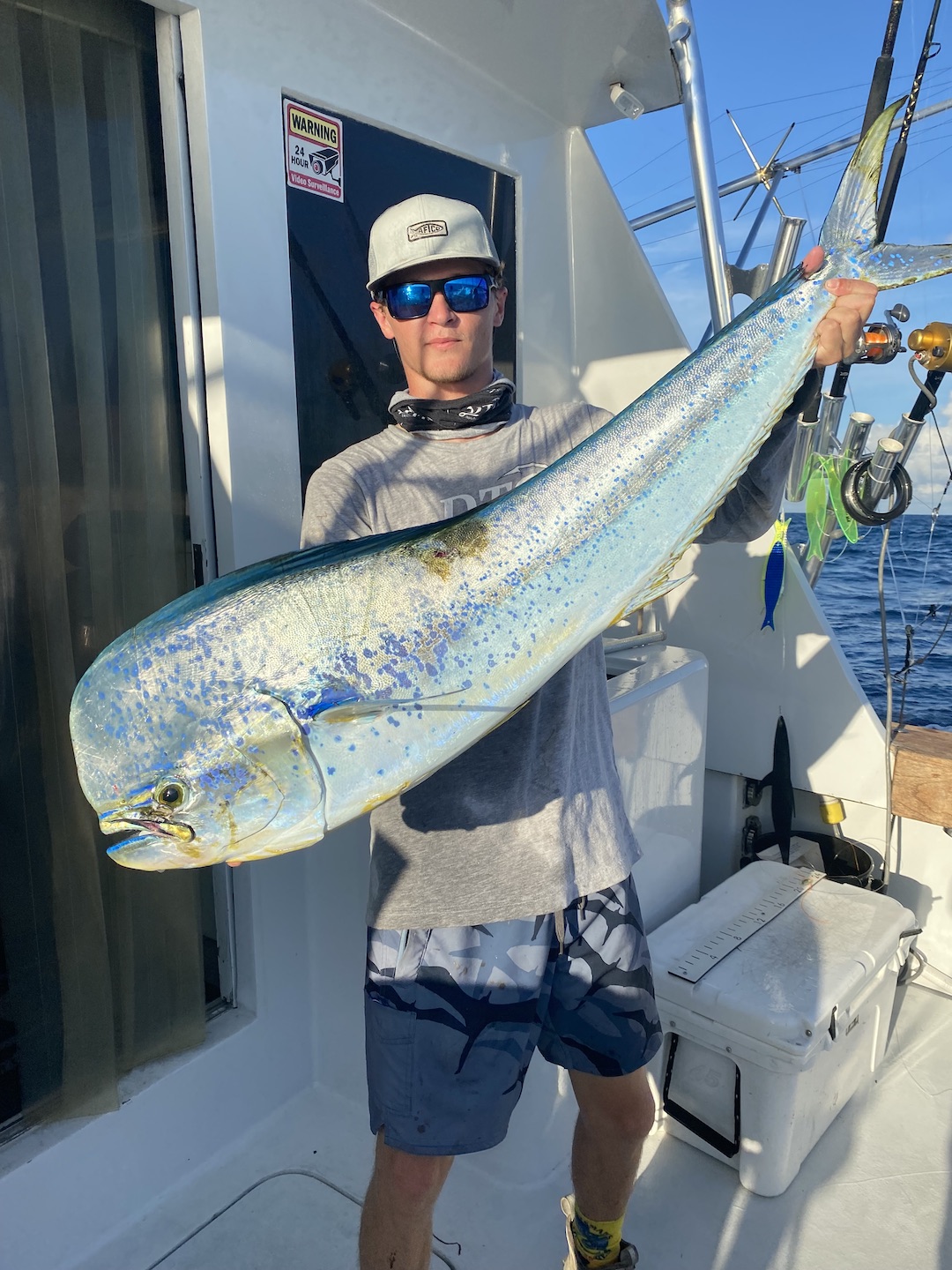 Big Bull Mahi