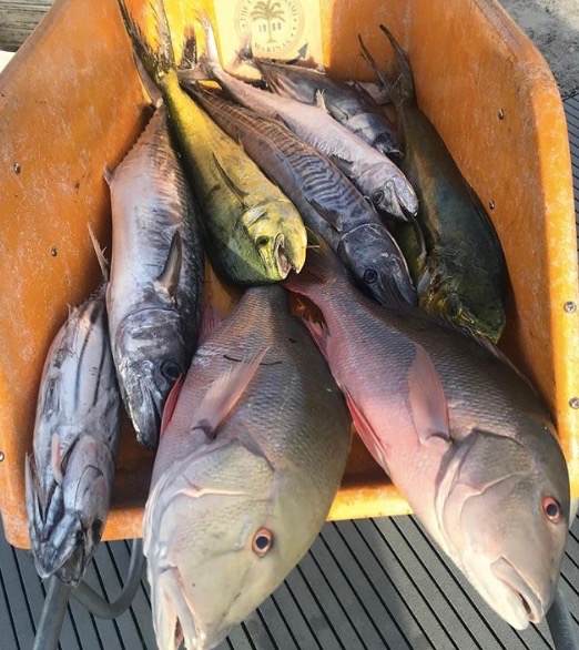 Mixed bag reef fishing