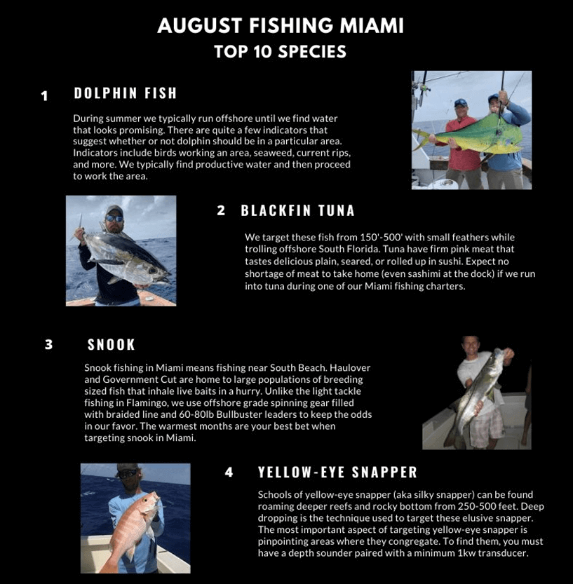 Miami Fishing Calendar by Month Double Threat Charters