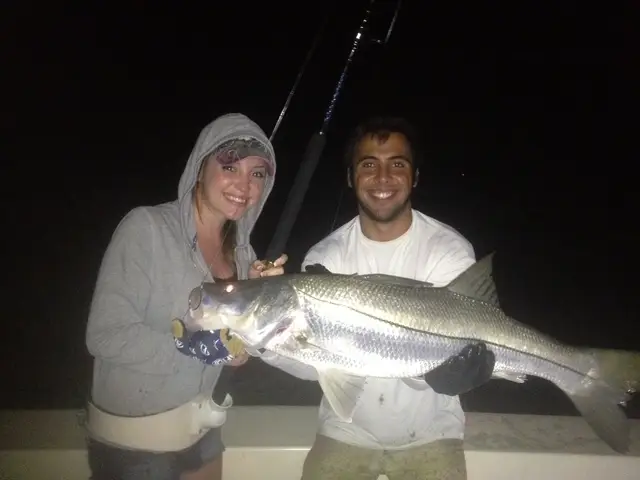 snook night fishing