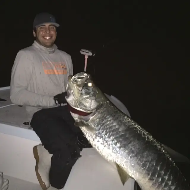 trapoon night fishing