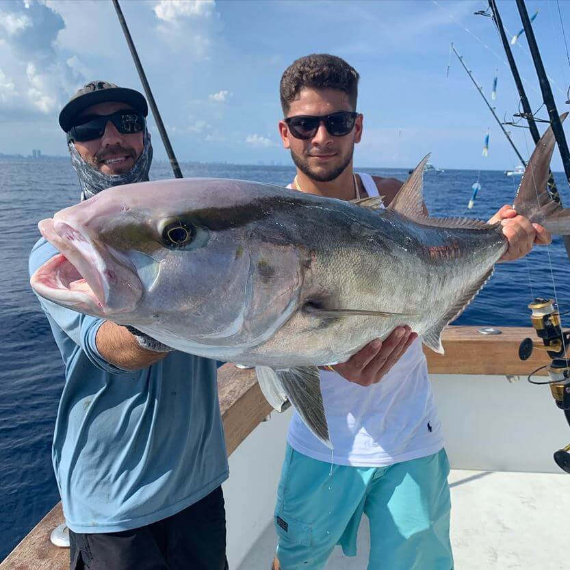 amberjack fishing miami