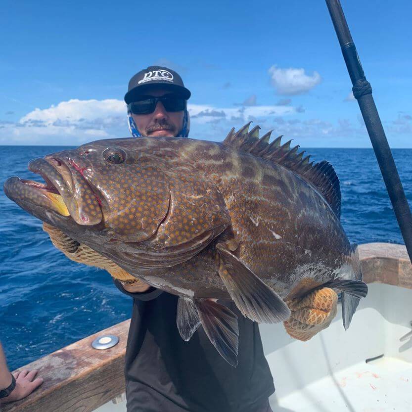 black grouper off Miami