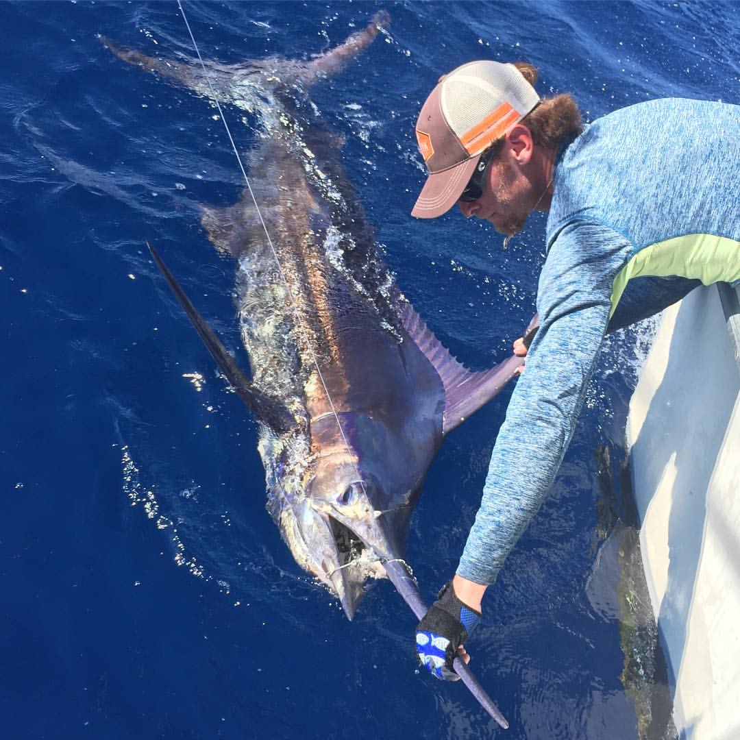 Marlin Fishing Miami, Florida- Kite Fishing for Marlin