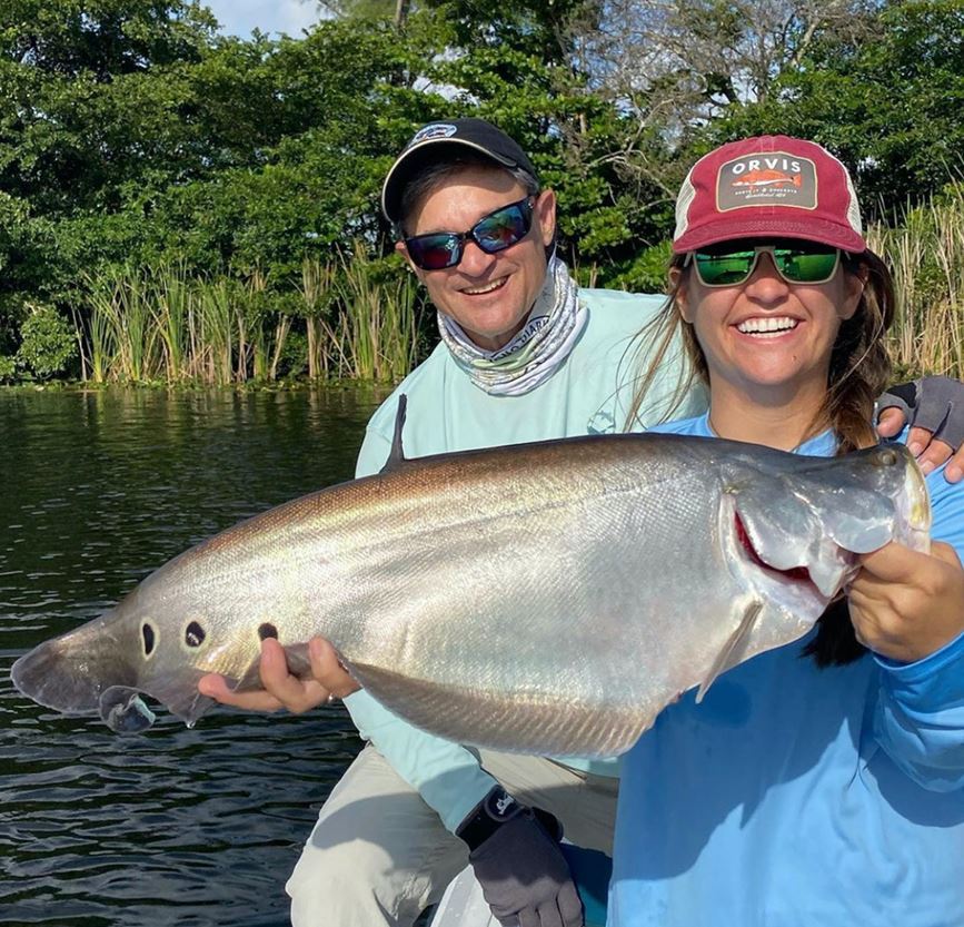 Clown Knifefish Miami