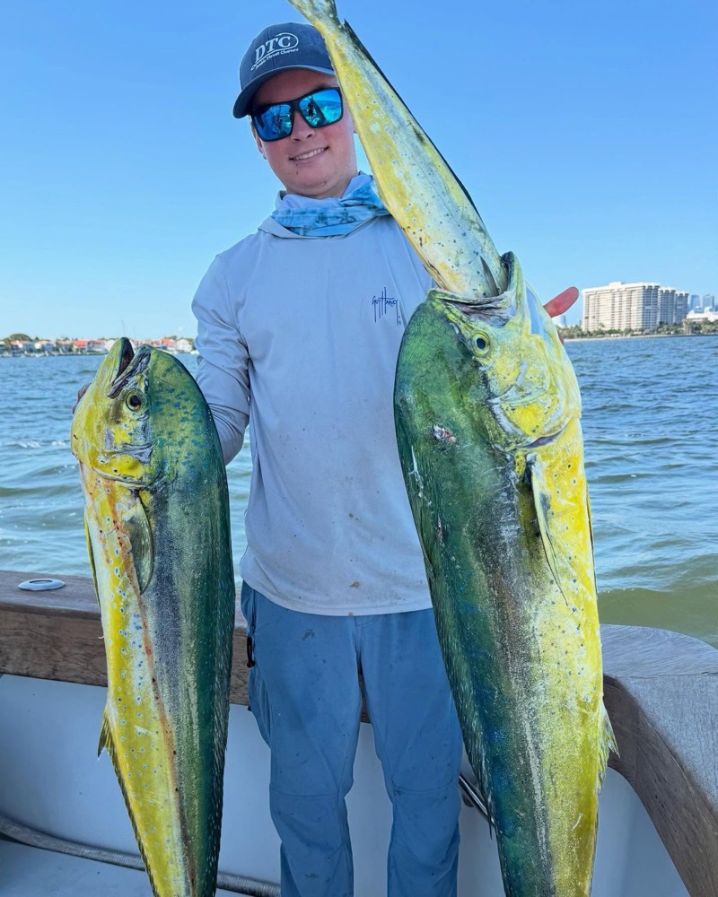 gaffer dolphin off Miami