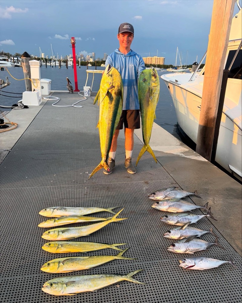 school of dolphin and tuna caught off Miami
