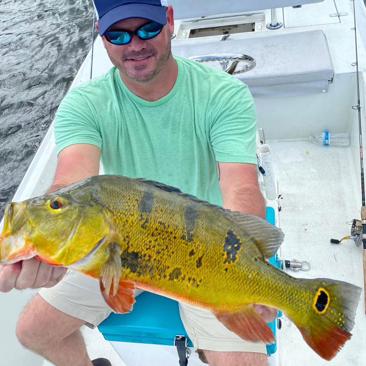 Peacock Bass Fishing Charters- Peacock Bass Fishing Miami