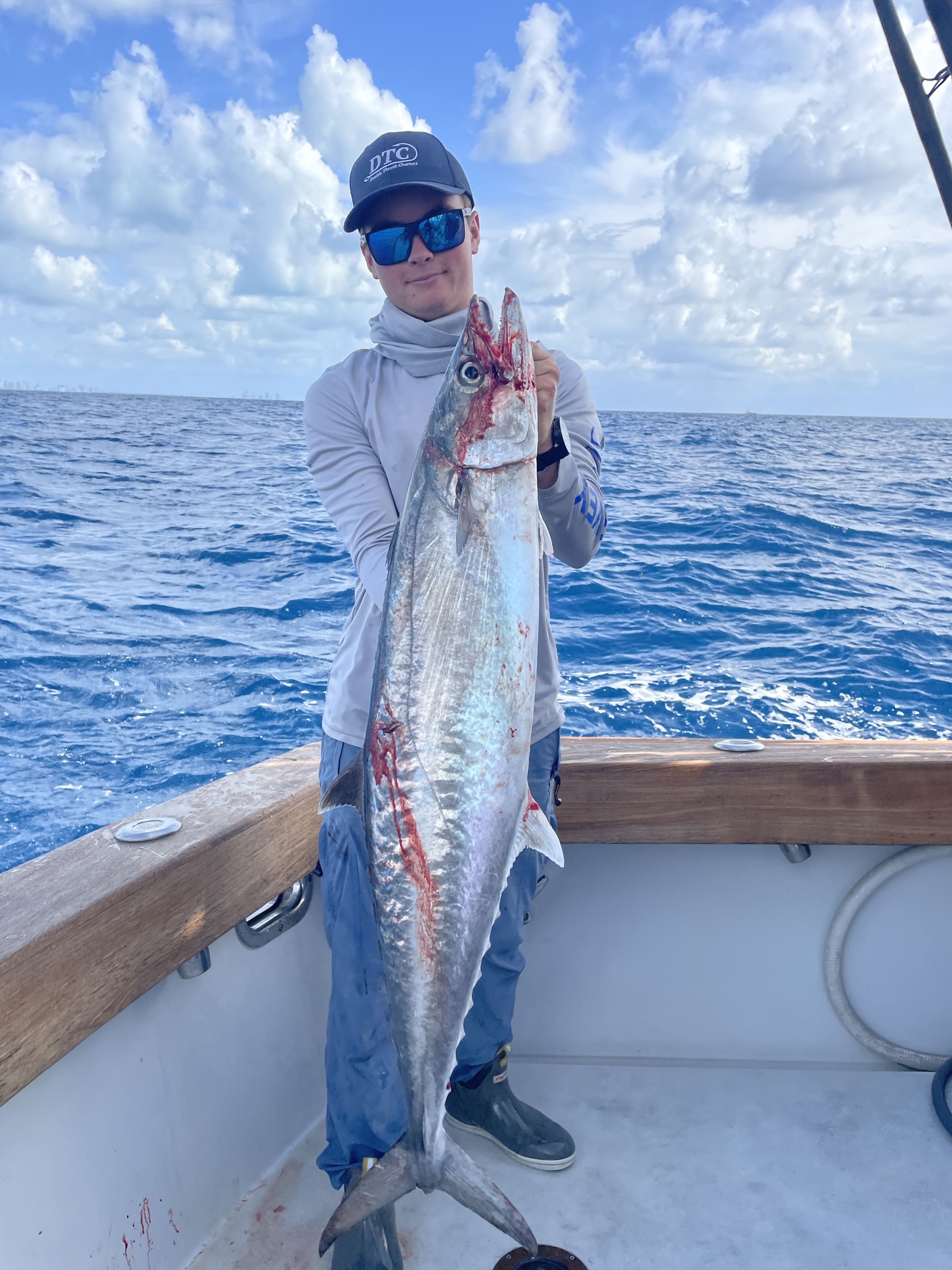 fresh kingfish off Miami