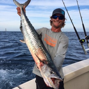 king mackerel