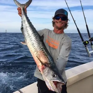 king mackerel