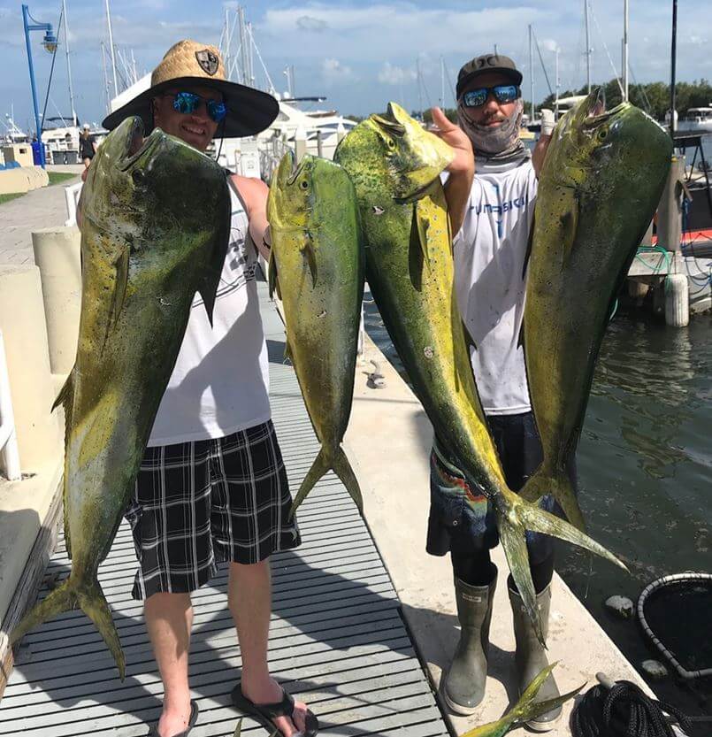 miami dolphin fishing