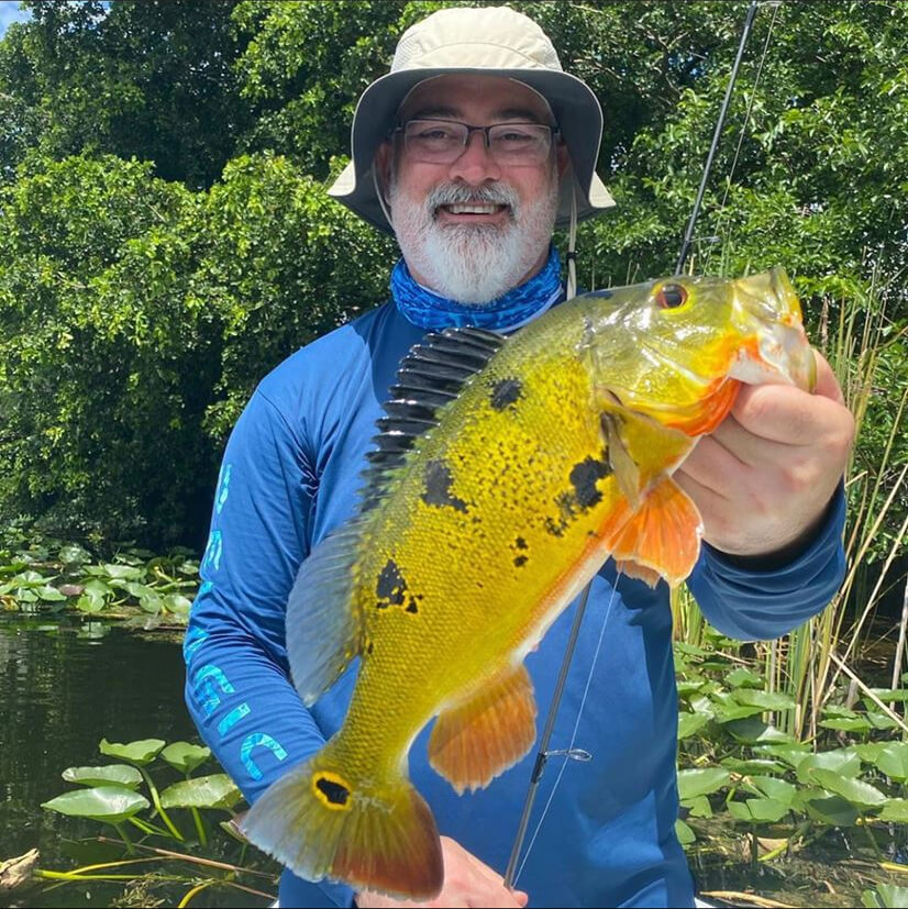 Peacock Bass Fishing Trips Near Miami Florida 2023